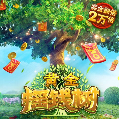 麦迪再谈自己取代科比和鲨鱼打球 ：我压根不该说“取代”一词